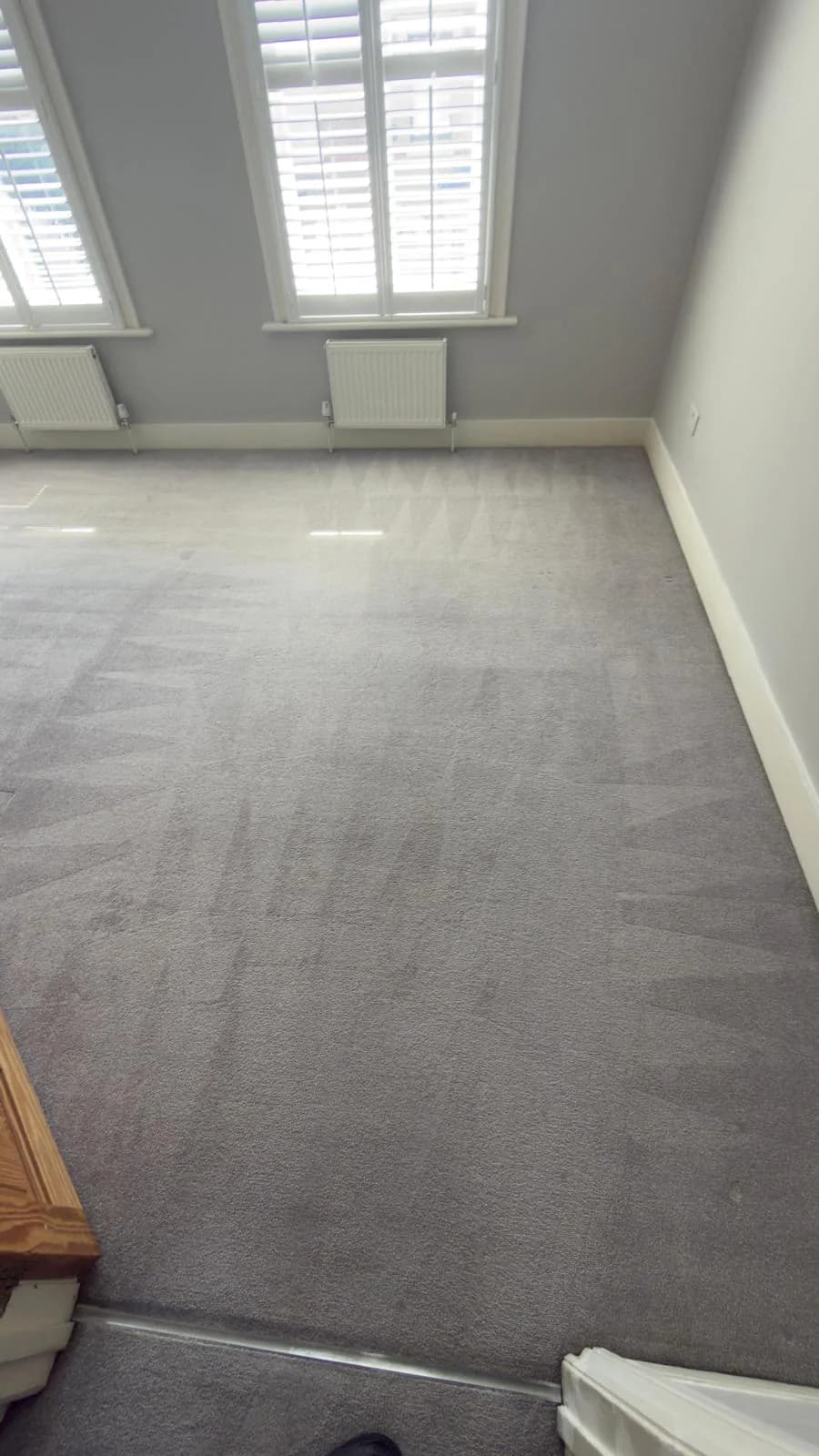Grey fitted living room carpet with cleaning passes below white window shutters. OneGo Cleaning Masters work photograph.