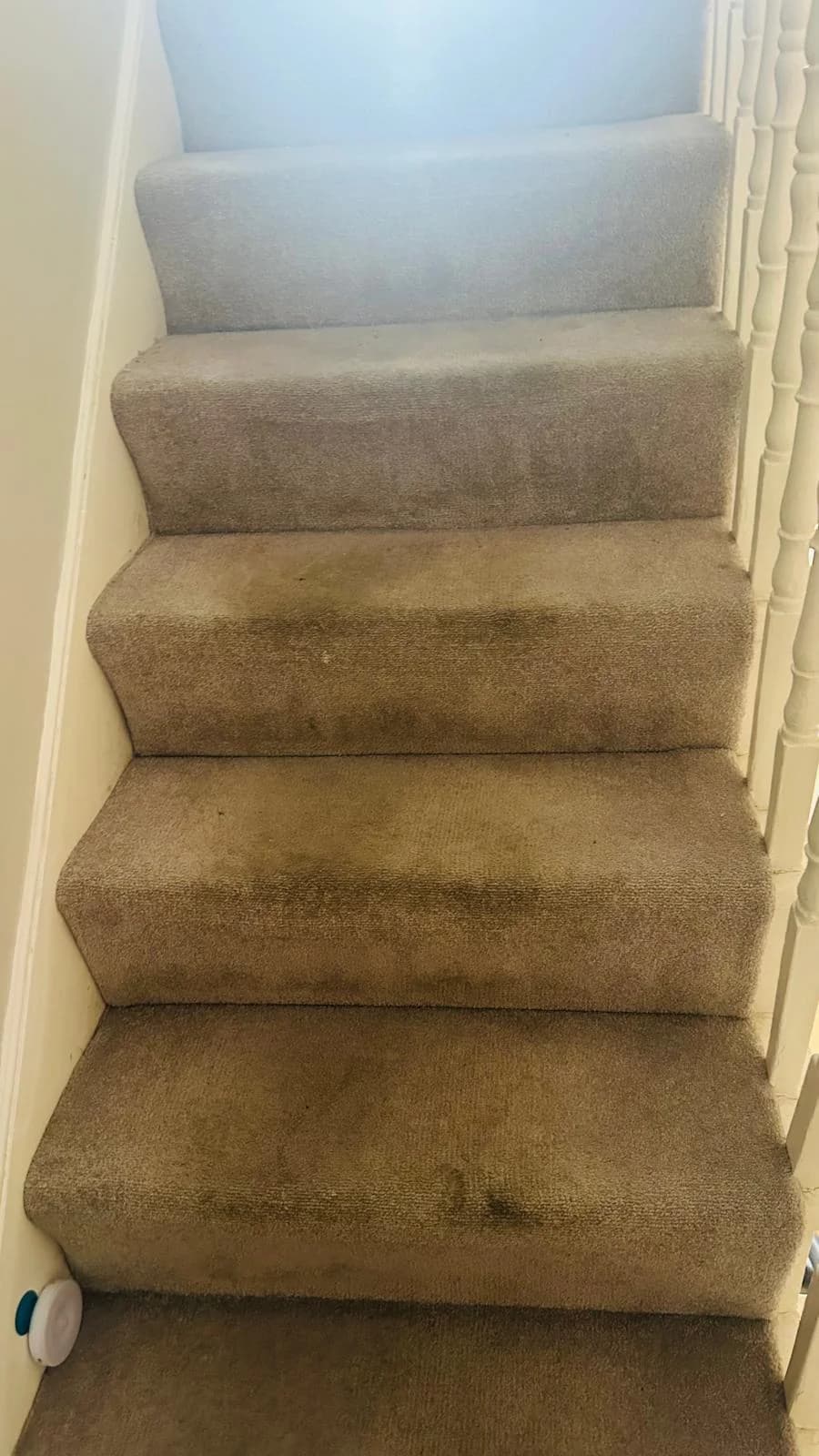 Beige stair carpet before cleaning, with darker traffic marks across the tread edges beside a white banister.