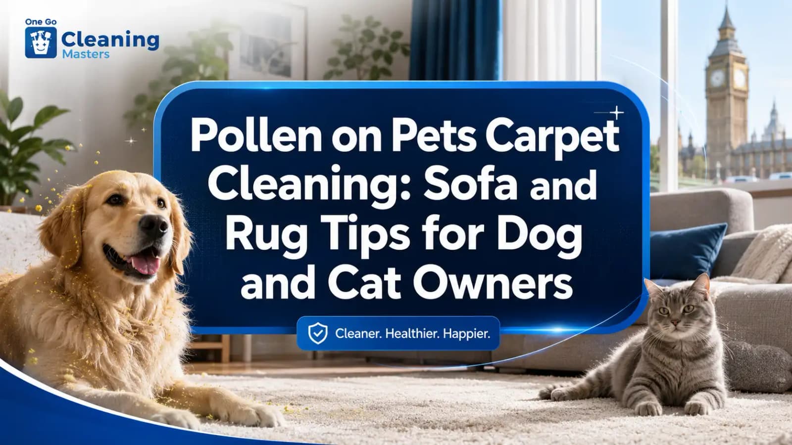 Pollen on pets carpet cleaning tips for dog and cat owners in London