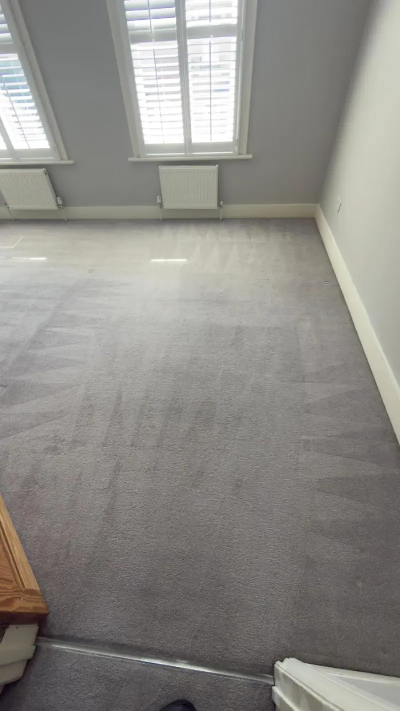 Grey fitted carpet with visible cleaning passes in a bright living room with white shutters, photographed on a OneGo Cleaning Masters job