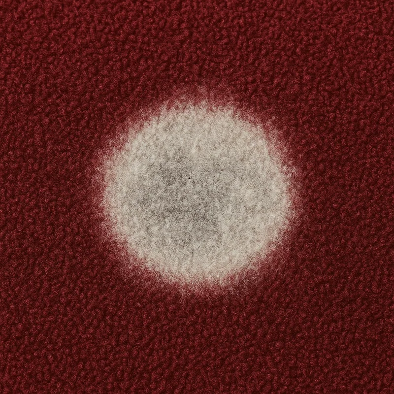 Chemical bleach damage on carpet